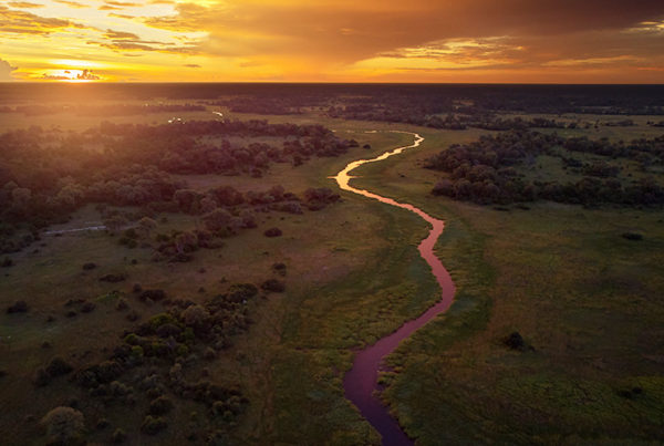 Okavango-Delta aerial view form helicopter ride