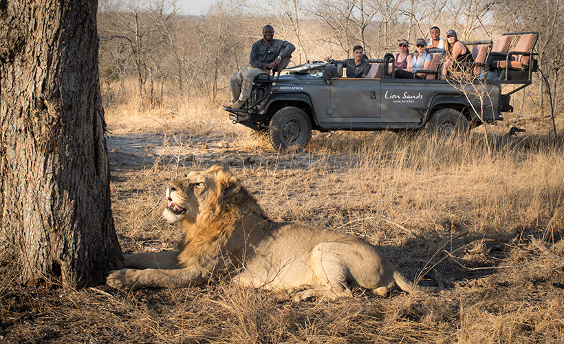 Lion Sands Safari Experience