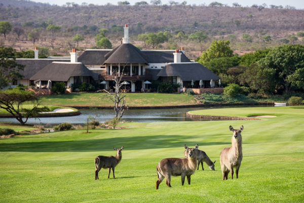 Luxury Golf and Safari South Africa Leopard Creek