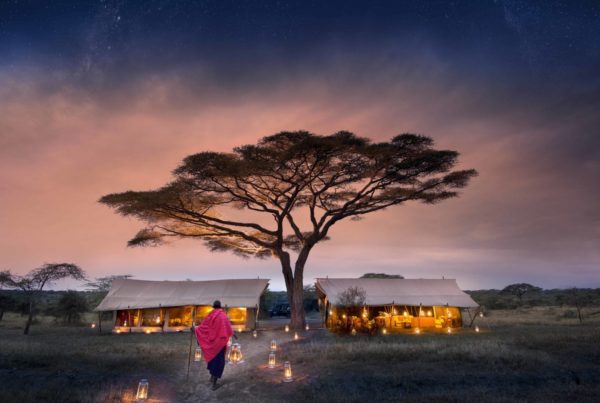Serengeti Under Canvas