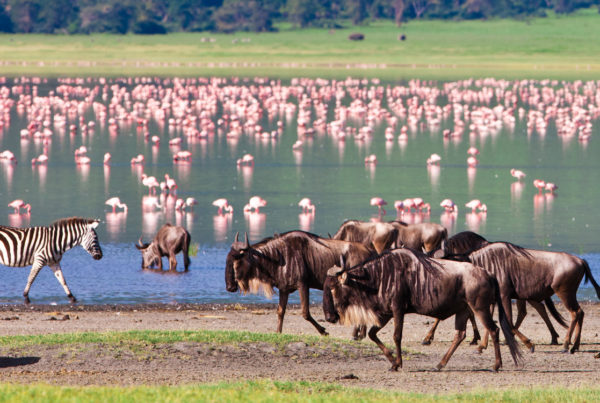 ngorongoro-crater