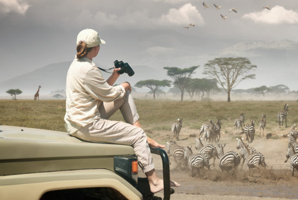 Serengeti
