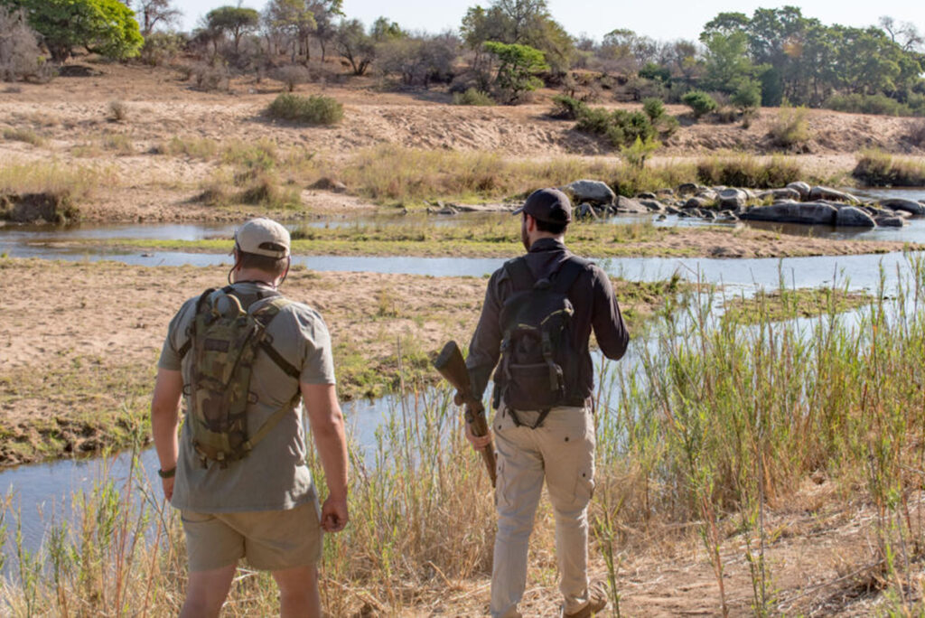 Lion Sands Ivory Lodge Guided Safari nature walks