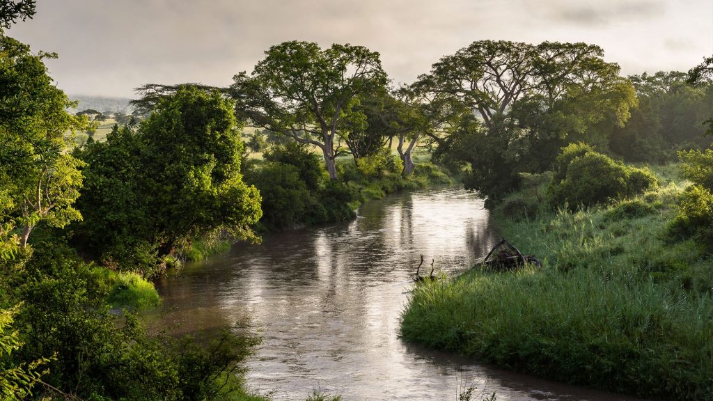 tanzania-faru-faru-lodge-grumeti-river