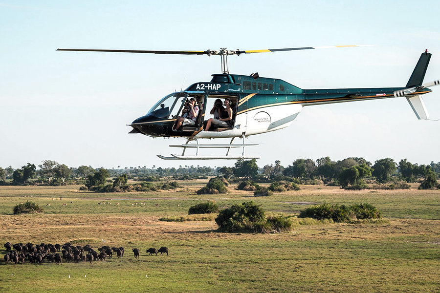 Private helicopter rides for clients, viweing buffalo