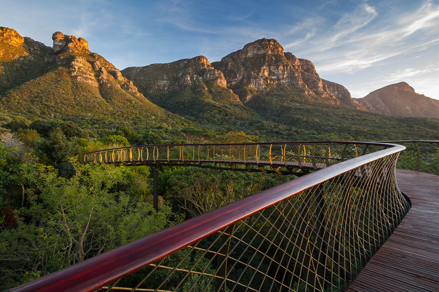 Hiking on bridge in Cape Town, sightseeing while on a private golf and safari tour through South Africa.