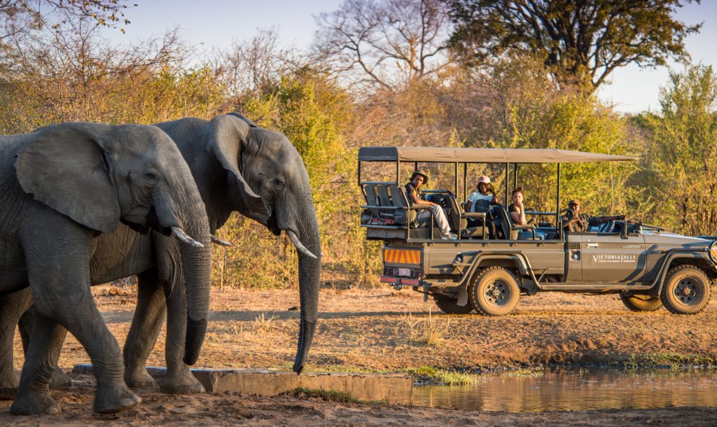 stanley__livingstone_boutique_hotel_4_safari__activities-88_preview_maxwidth_2500_maxheight_2500_ppi_300_quality_100 Private safari elephant viewing