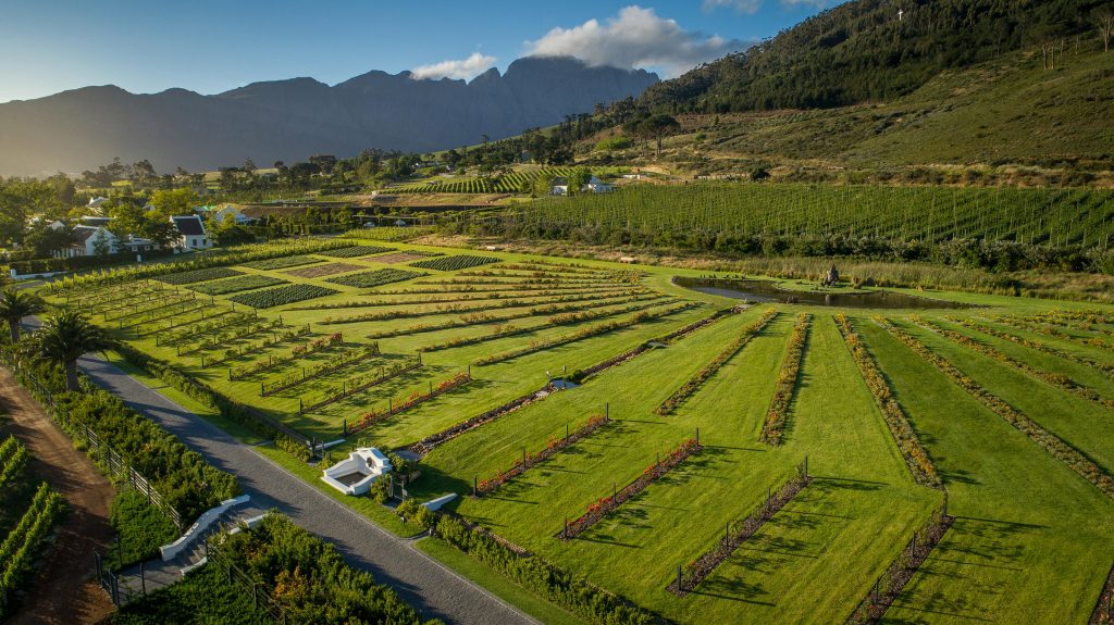 Bokkie Garden View of vineyard while on private wine tour in Cape Winelands with Premier Africa.