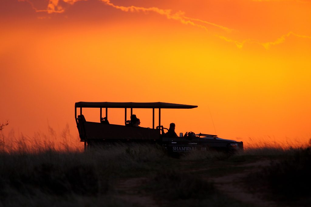 Shamwari Game Reserve Game drives