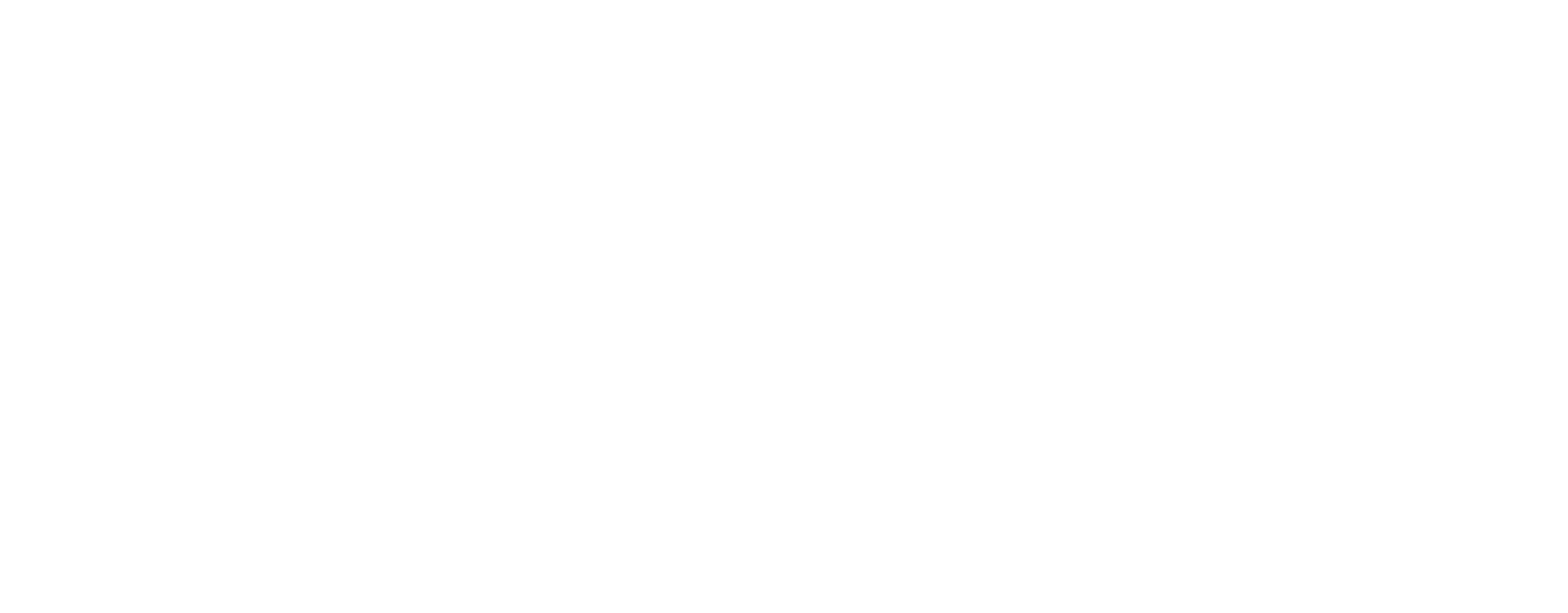 premier excursions logo white