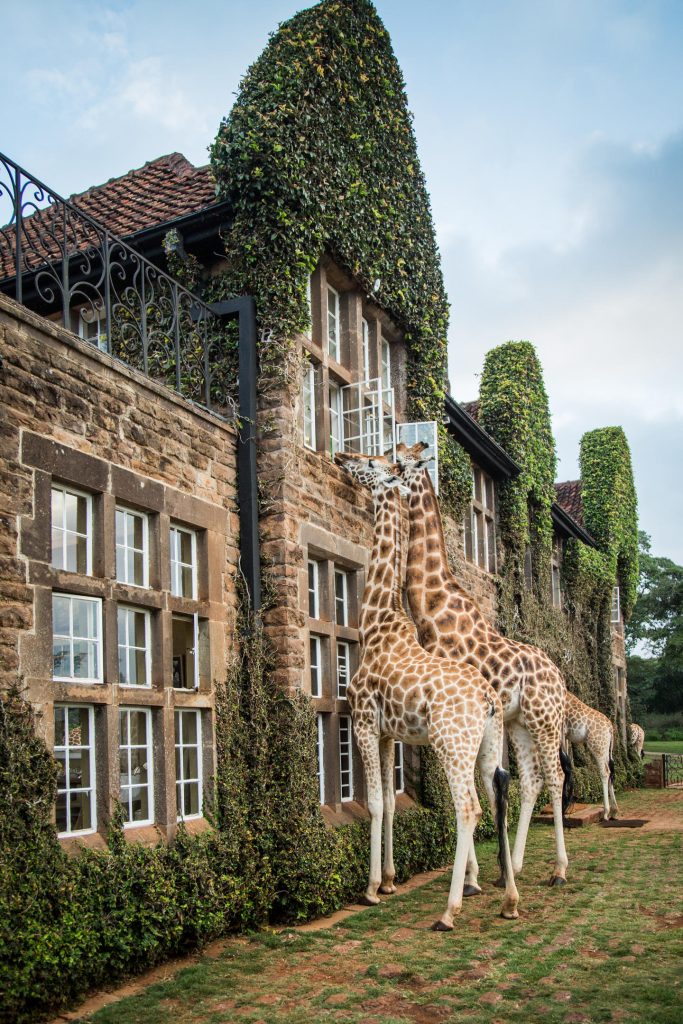 Giraffe Manor_7