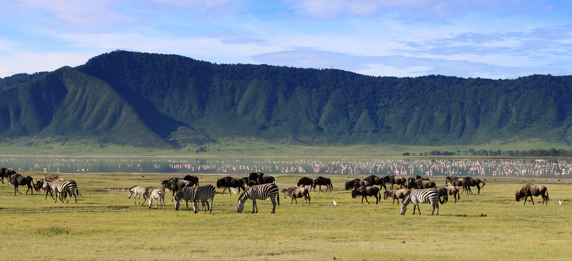 ngorongoro-header
