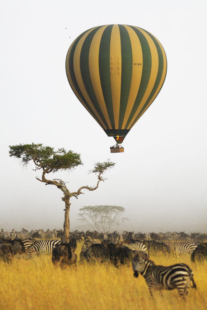 shutterstock_137054627-enhanced