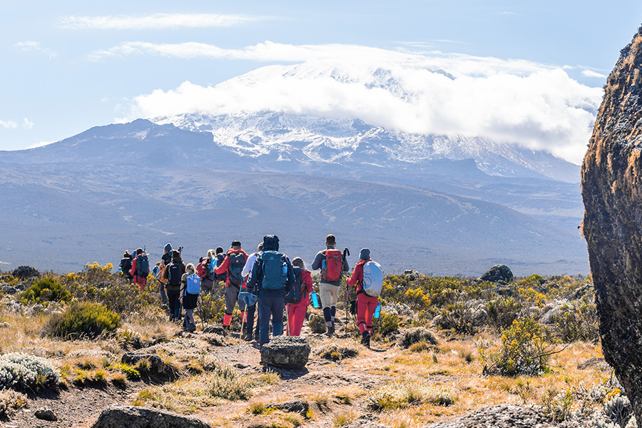 Tour group hiking up Kilimanjaro with expert premier Africa guides