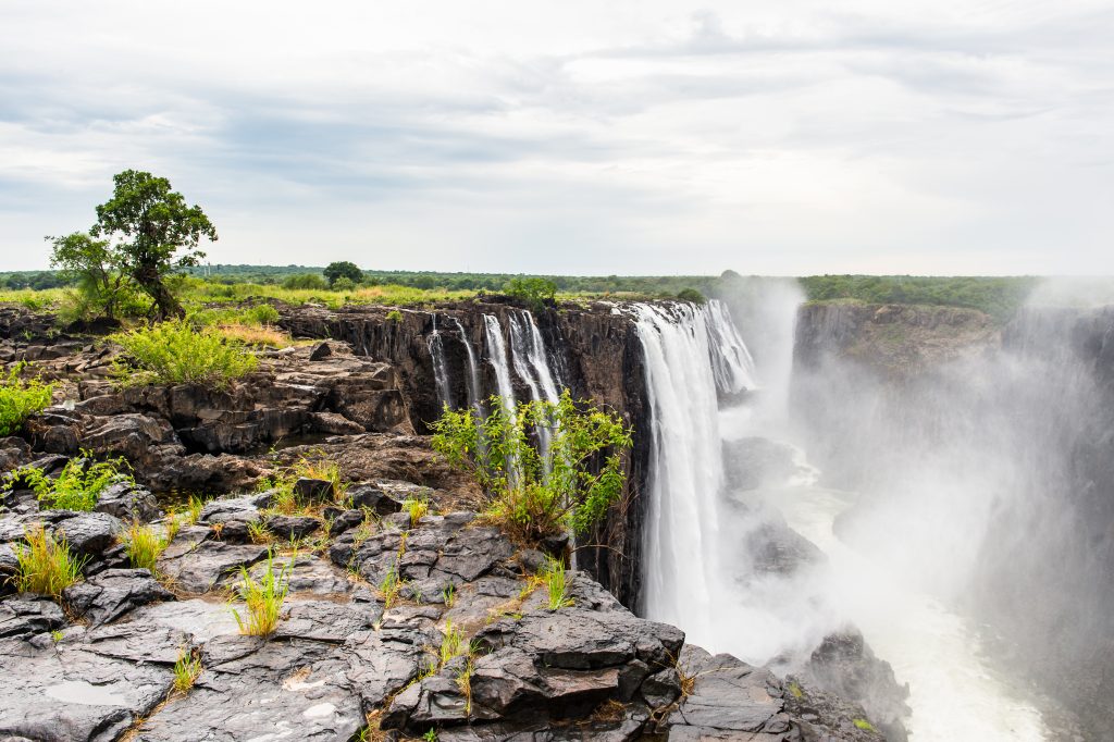 shutterstock_372433162