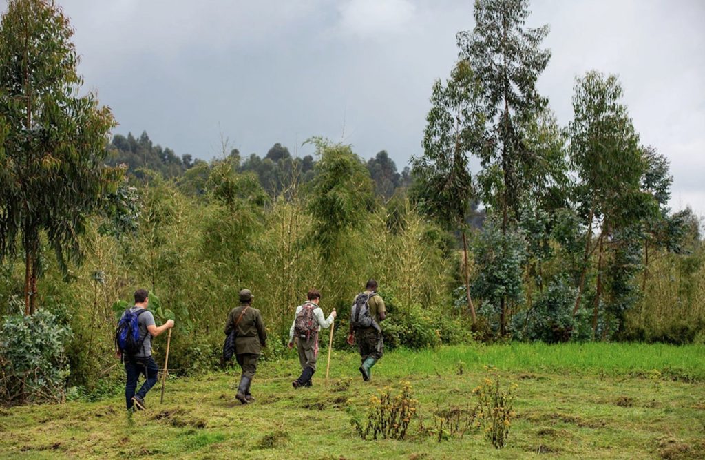 rwanda-singita-kwitonda-lodge-experiences-guided-nature-walks-1
