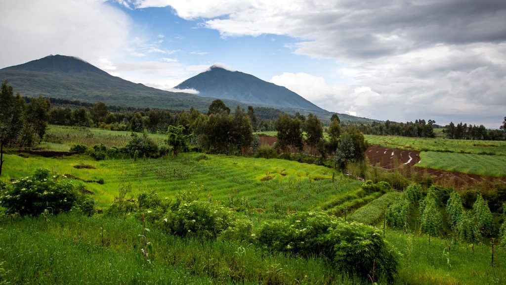 rwanda-singita-kwitonda-lodge-gallery-virunga-mountains-landscape rwanda-singita-kwitonda-lodge-gallery-virunga-mountains-landscape