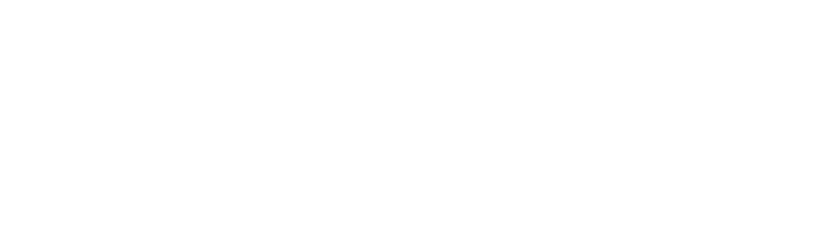 a quote from David Frost