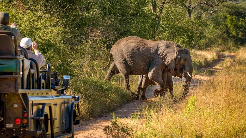 lion-sands-river-lodge-gallery_25 lion-sands-river-lodge-gallery_