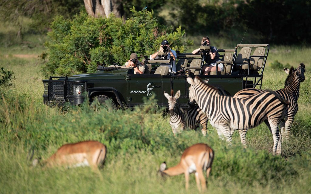 mala-mala-experiences-photographic-safari-game-drive