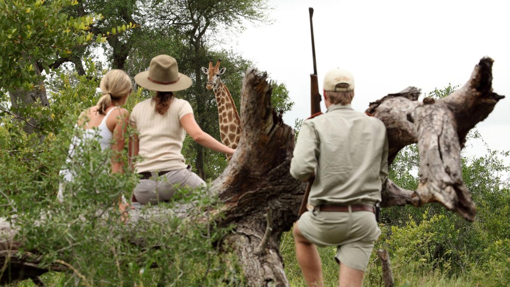 mala-mala-gallery_01