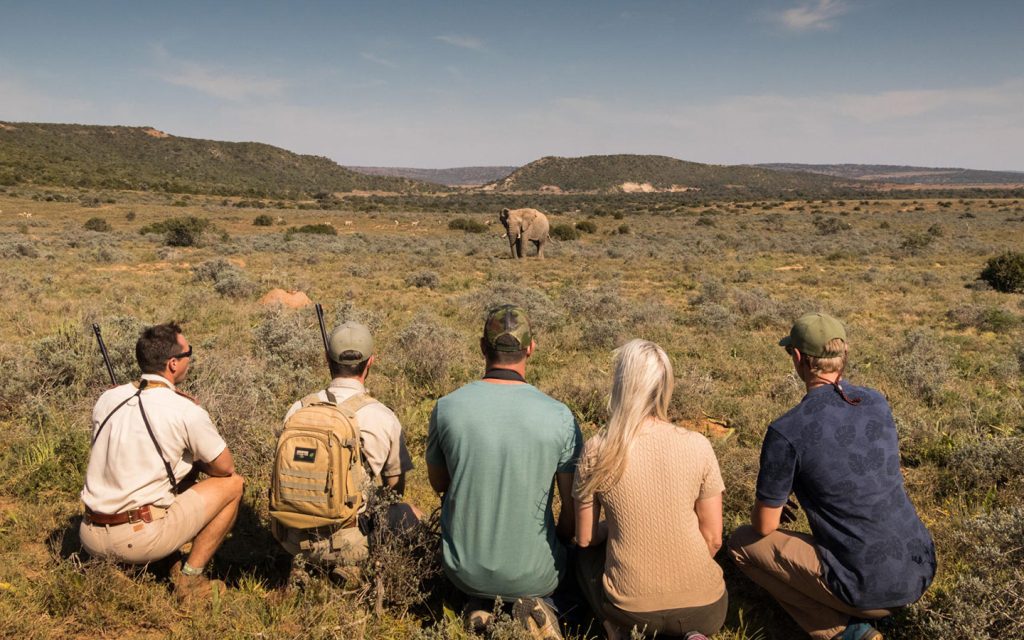 shamwari-experiences-bush-walks