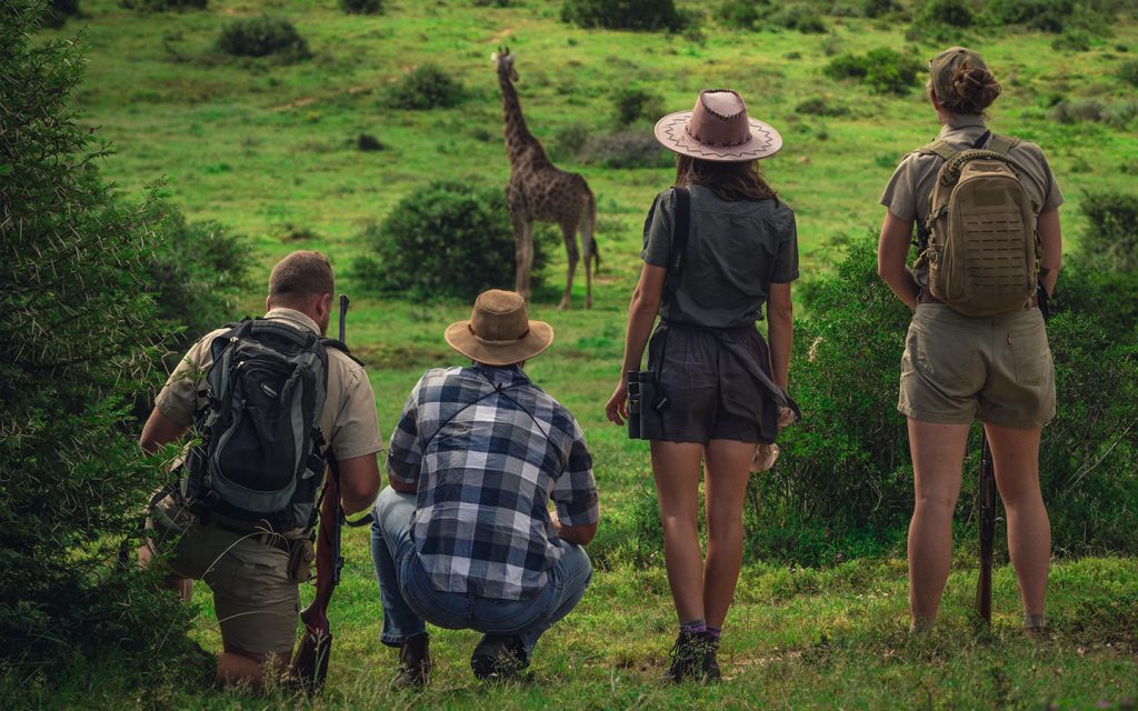 shamwari-experiences-bush-walks