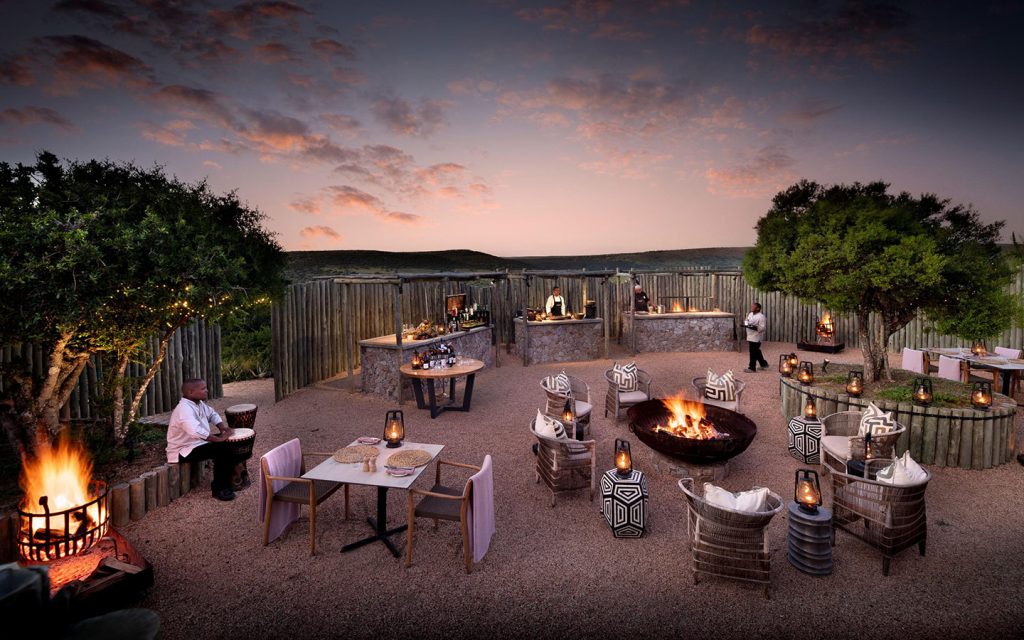 shamwari-sindile-lodge-experiences-dining