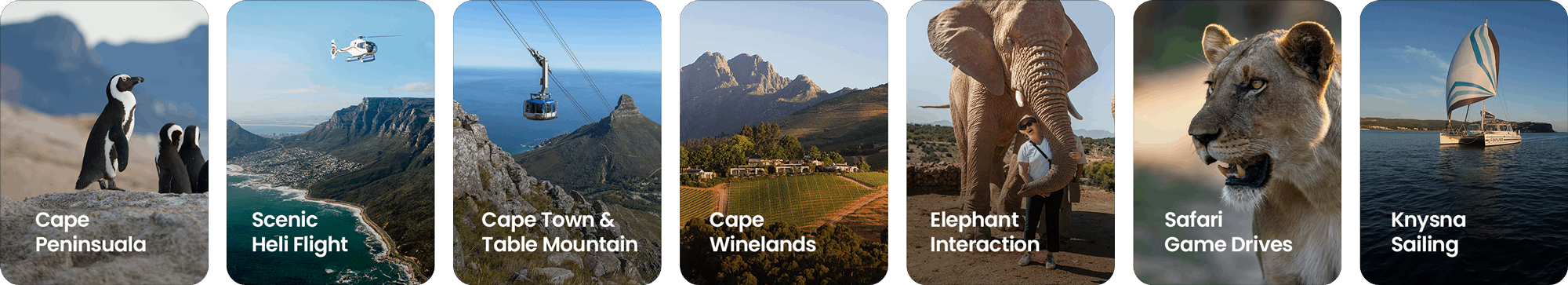 sightseeing-adventures (1)