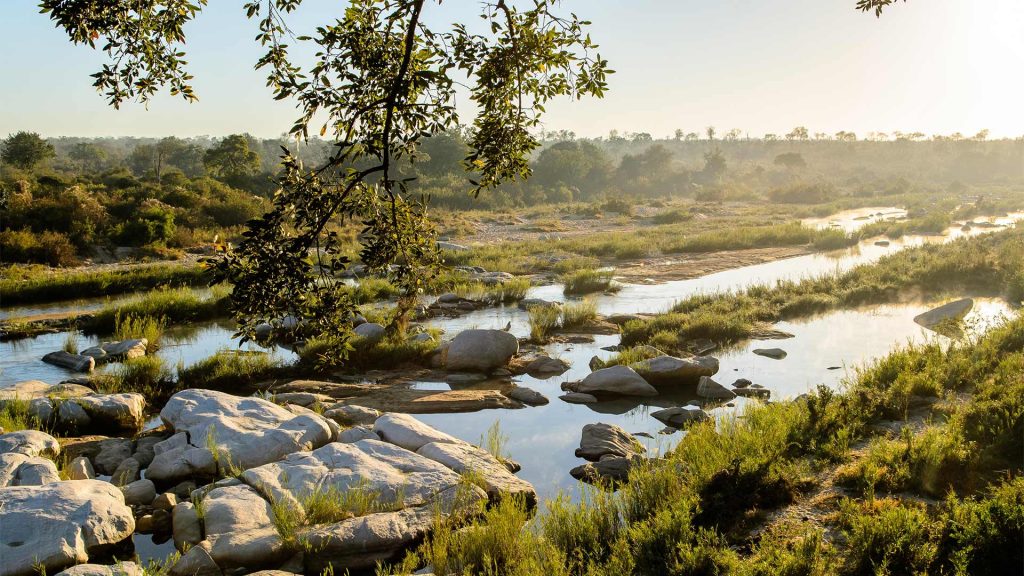 singita-boulders-lodge-gallery_21