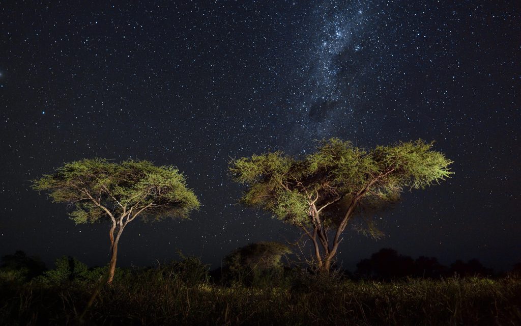 singita-experiences-stargazing